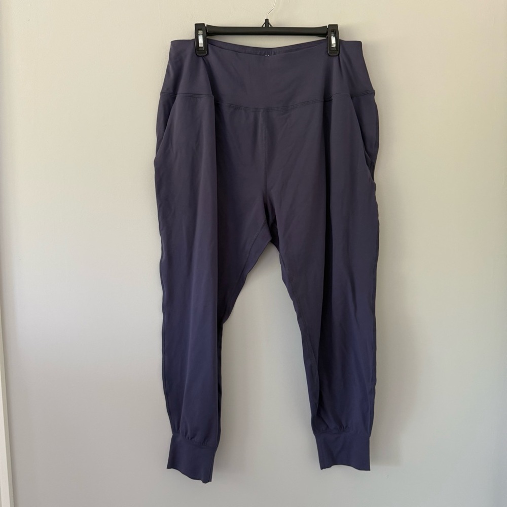Under Armour Women's Purple Joggers